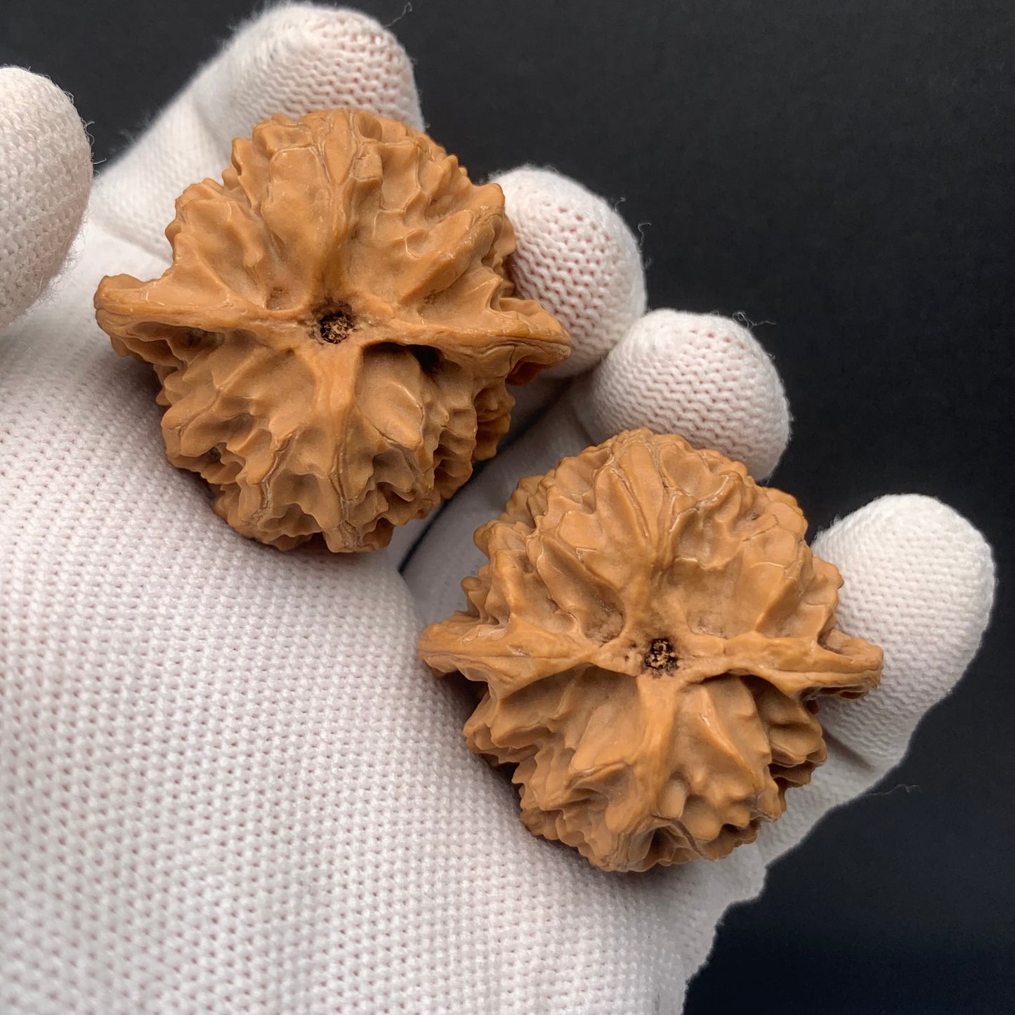 Apple Orchard Walnuts | Width38*Belly37*Height38 | No. 671708 | Premium