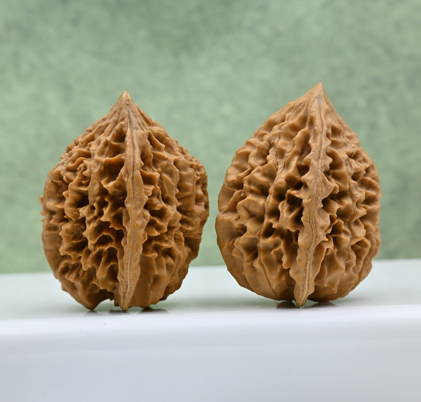Budget Wenwan Walnuts | Minor Flaws | Great for Beginners|Fortune Mouse Wenwan Walnuts