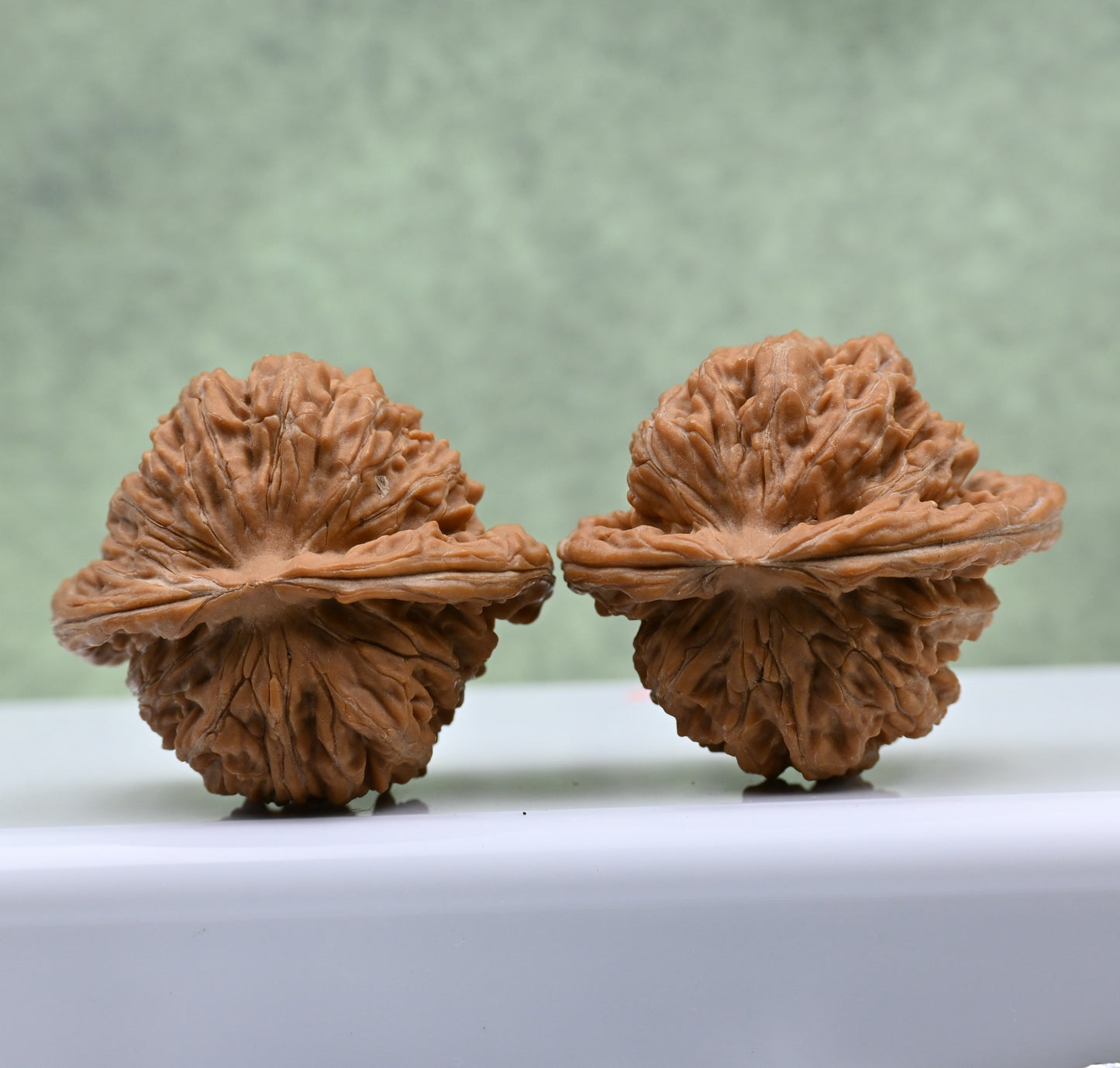 Budget Wenwan Walnuts | Minor Flaws | Great for Beginners|Golden Ingot WenWan Walnuts
