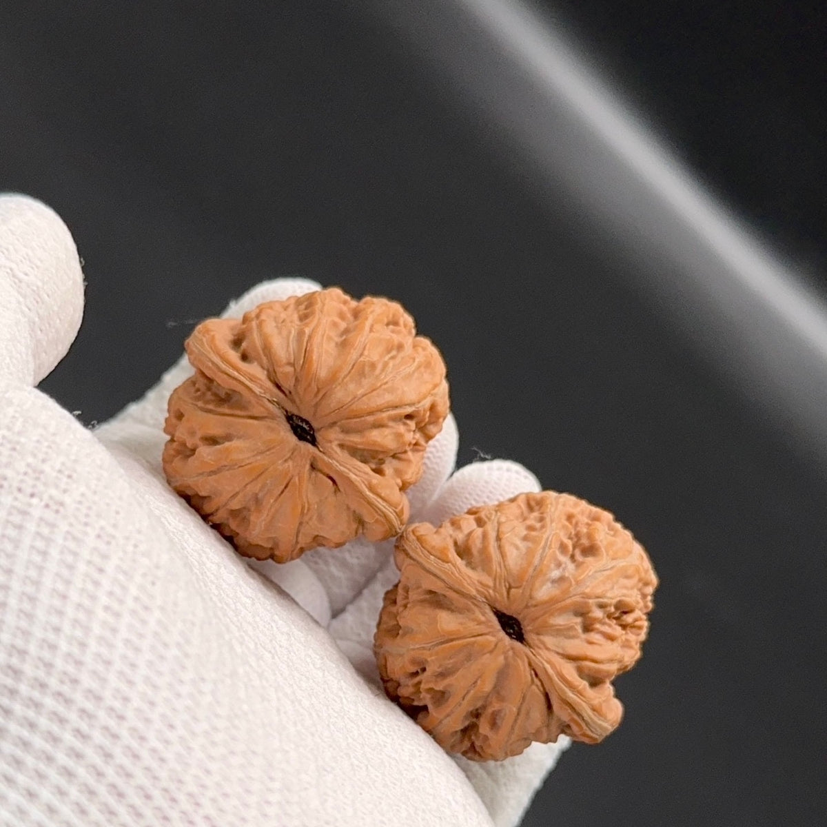 Specical Price |Golden Ingot Wenwan Walnuts (Ragular Grade)