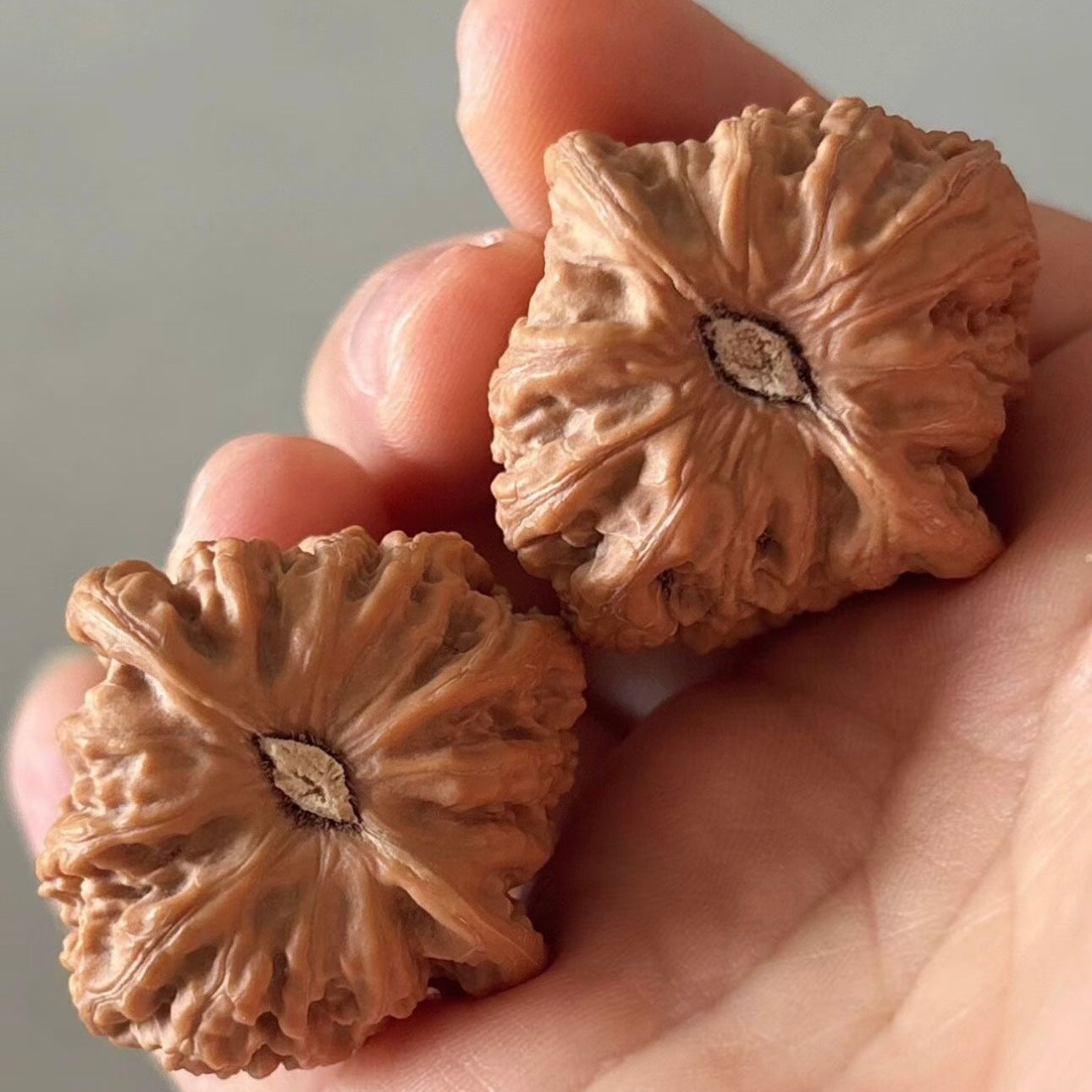 On Sale | Ruby Wenwan Walnuts (Ragular Grade)