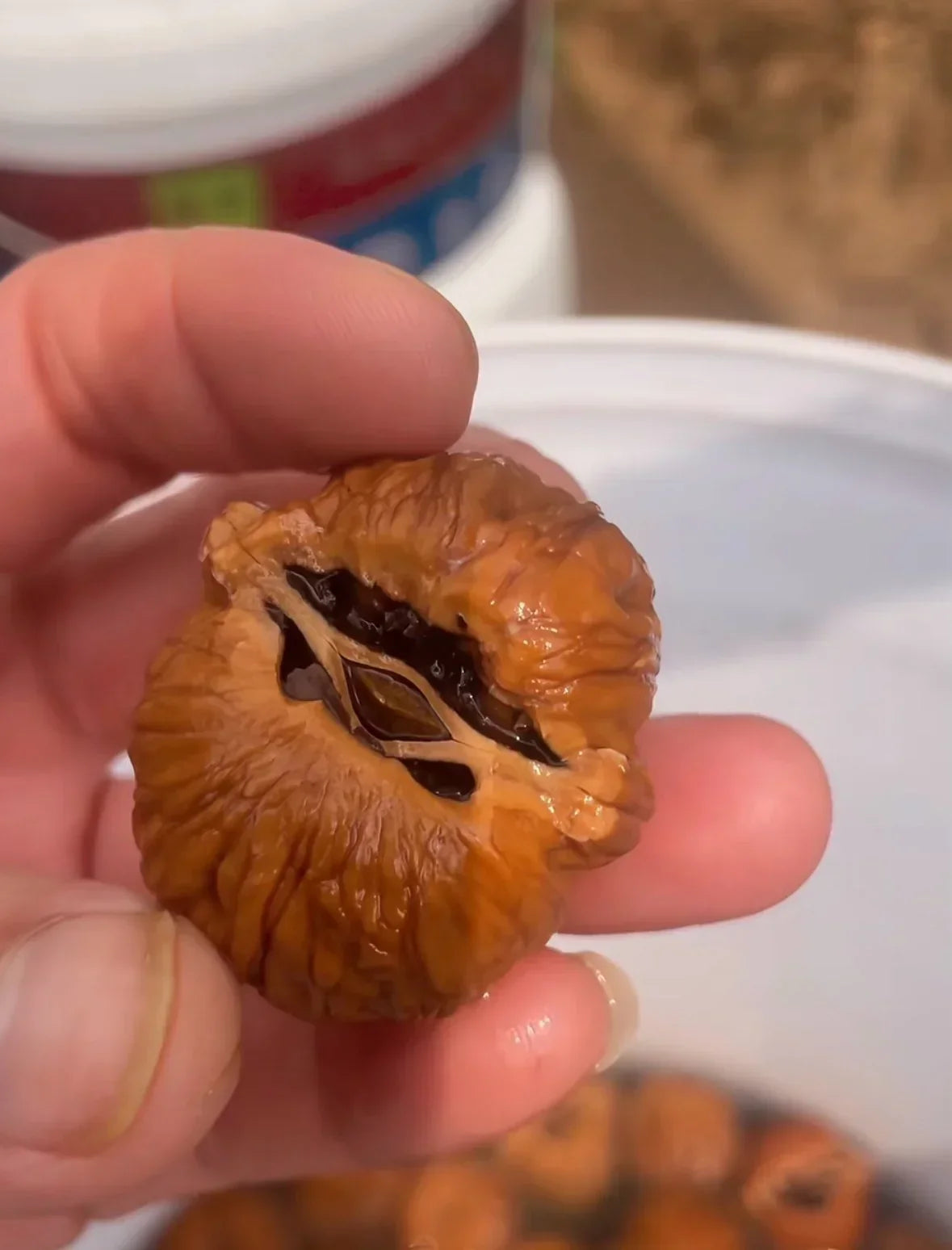 How to Germinate Wenwan Walnuts｜Complete Step‑by‑Step Guide