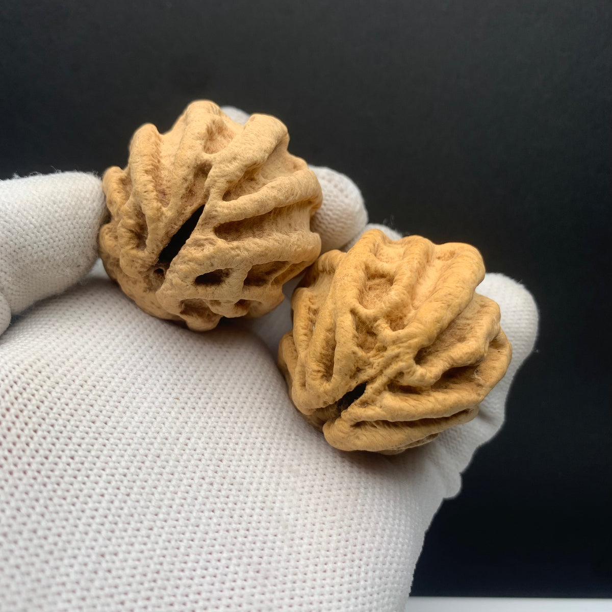 Wild Qiankun Ghost‑Face Walnuts|width*Belly*height| No. B001｜Premium