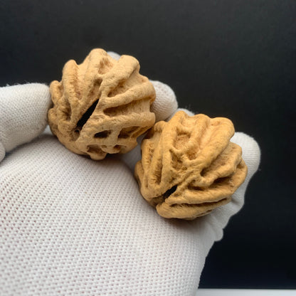 Wild Qiankun Ghost‑Face Walnuts|width*Belly*height| No. B001｜Premium