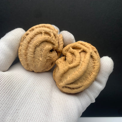 Wild Qiankun Ghost‑Face Walnuts|width*Belly*height| No. B001｜Premium