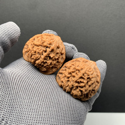 Starry‑Sky Wenwan Walnuts | Width37*Belly34*Height36 | N0.69078 | Premium