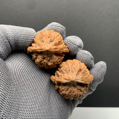 Starry‑Sky Wenwan Walnuts | Width37*Belly34*Height36 | N0.69078 | Premium