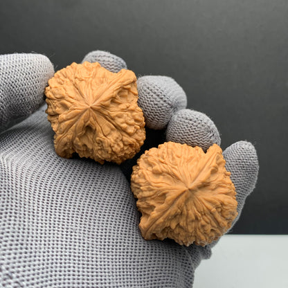 Angel Wing Nanjiangshi Wenwan Walnuts | Width38*Belly37*Height40 | NO.6101020 | Premium