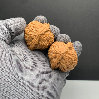 Angel Wing Nanjiangshi Wenwan Walnuts | Width40*Belly38*Height40 | NO.6101026 | Premium