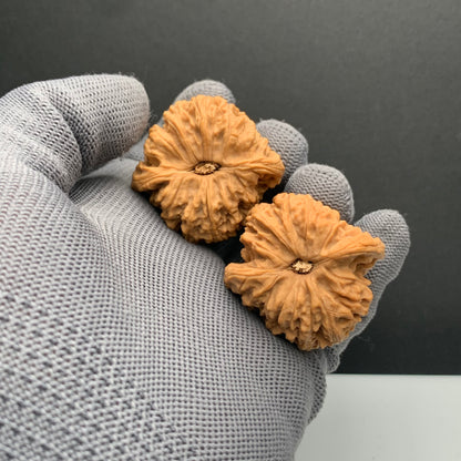 Angel Wing Nanjiangshi Wenwan Walnuts | Width40*Belly38*Height40 | NO.6101026 | Premium