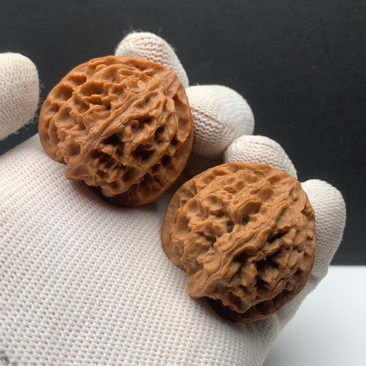 Apple Orchard Walnuts | Width36*Belly35*Height35 | No.0260622-02 | Premium