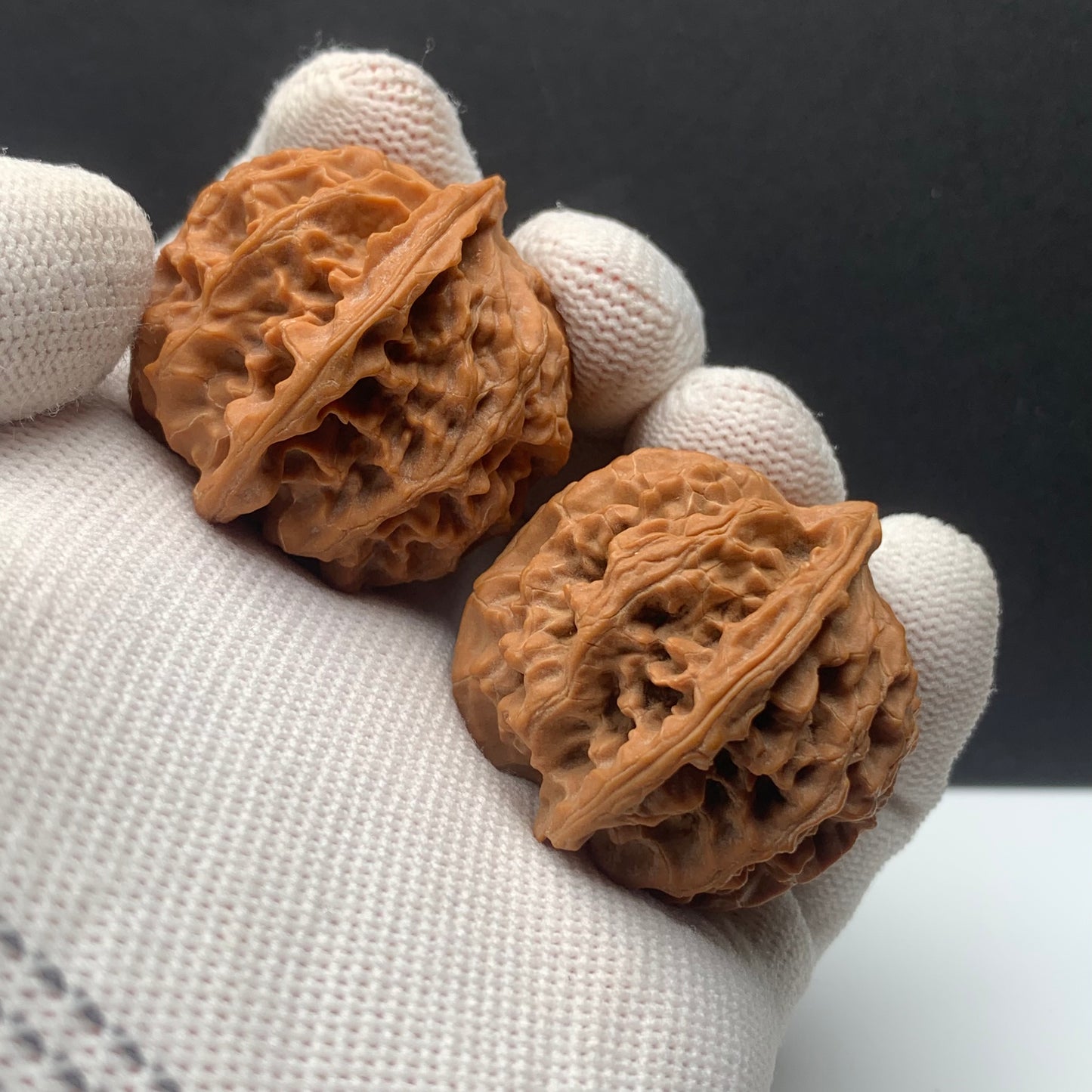 Premium|36mm Apple Orchard Walnut |No.0260622-02