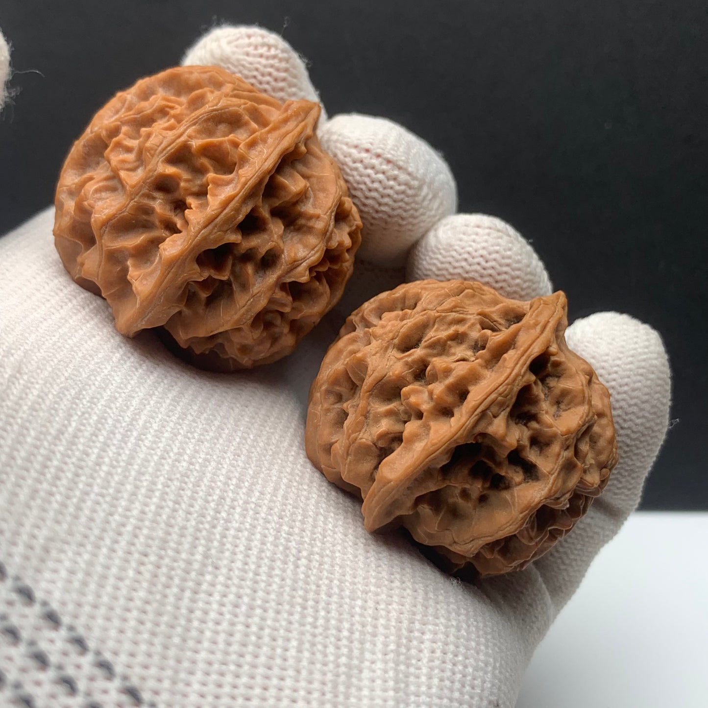 Premium|36mm Apple Orchard Walnut |No.0260622-02