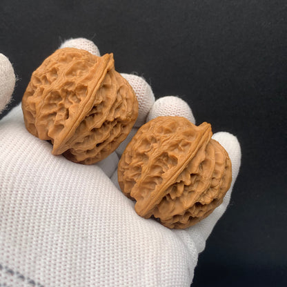 Apple Orchard Walnuts | Width38*Belly37*Height38 | No. 671708 | Premium