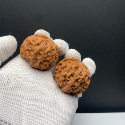 Apple Orchard Walnuts | Width38*Belly39*Height32 | No. 68012 | Premium