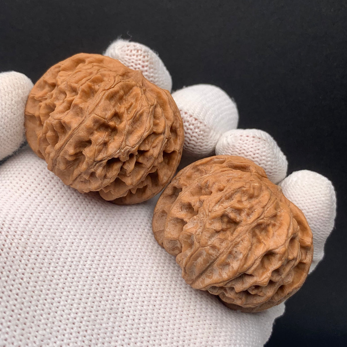 Apple Orchard Walnuts | Width40*Belly38*Height31 | No. 0260627-06 | Premium