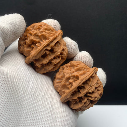 Apple Orchard Walnuts | Width41*Belly42*Height37 | No. 671501 | Premium