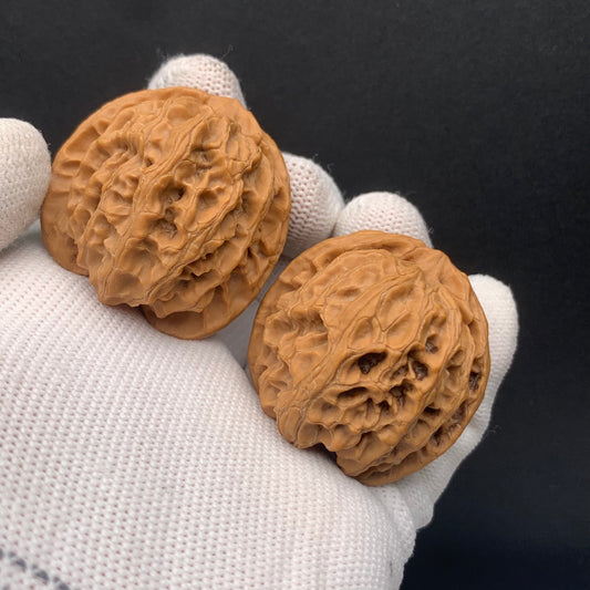Apple Orchard Walnuts | Width38*Belly37*Height38 | No. 671708 | Premium