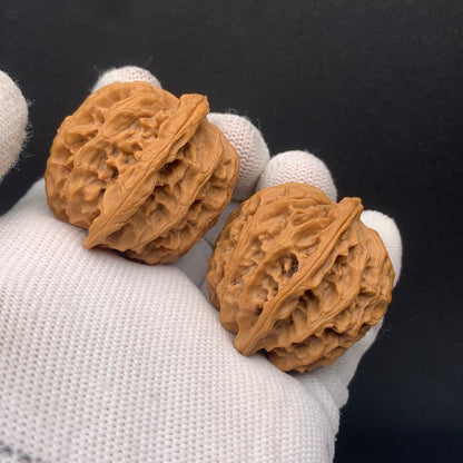 Apple Orchard Walnuts | Width38*Belly37*Height38 | No. 671708 | Premium