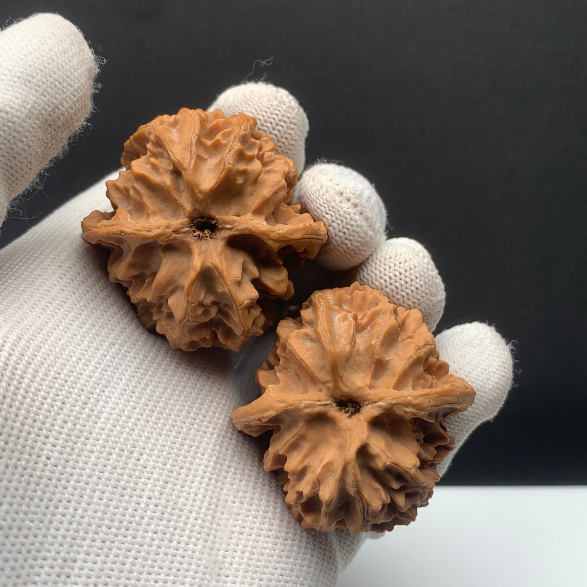 Apple Orchard Walnuts | Width41*Belly42*Height37 | No. 671501 | Premium