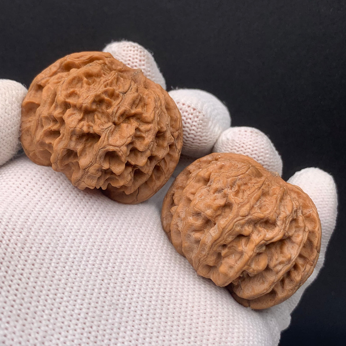 Apple Orchard Walnuts | Width40*Belly38*Height31 | No. 0260627-06 | Premium