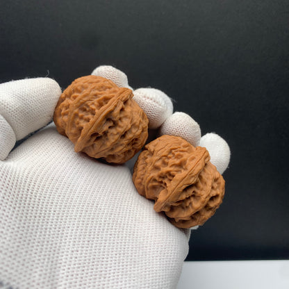 Apple Orchard Walnuts | Width38*Belly39*Height32 | No. 68012 | Premium