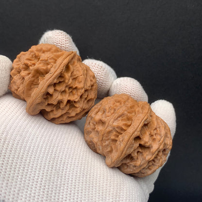 Apple Orchard Walnuts | Width40*Belly38*Height31 | No. 0260627-06 | Premium