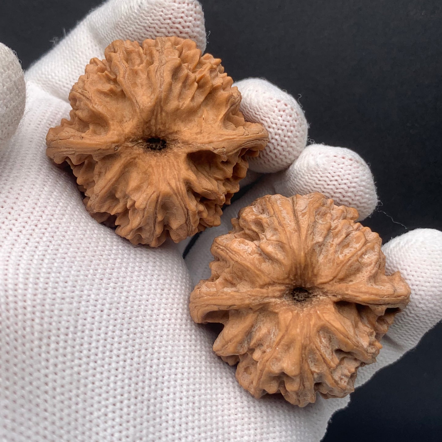 Apple Orchard Walnuts | Width40*Belly38*Height31 | No. 0260627-06 | Premium