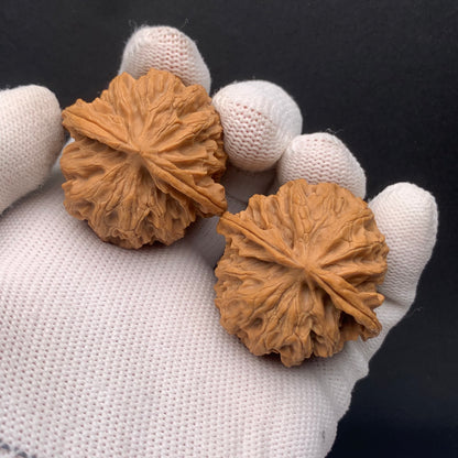 Apple Orchard Walnuts | Width38*Belly37*Height38 | No. 671708 | Premium