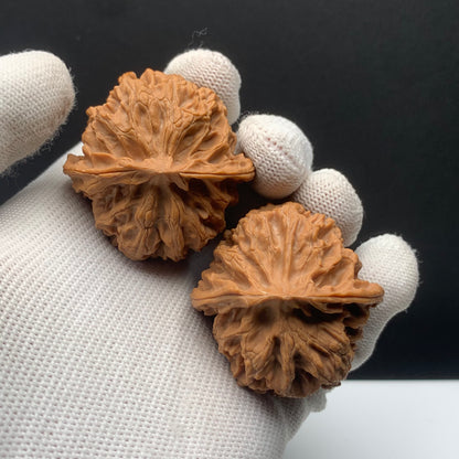 Apple Orchard Walnuts | Width41*Belly42*Height37 | No. 671501 | Premium
