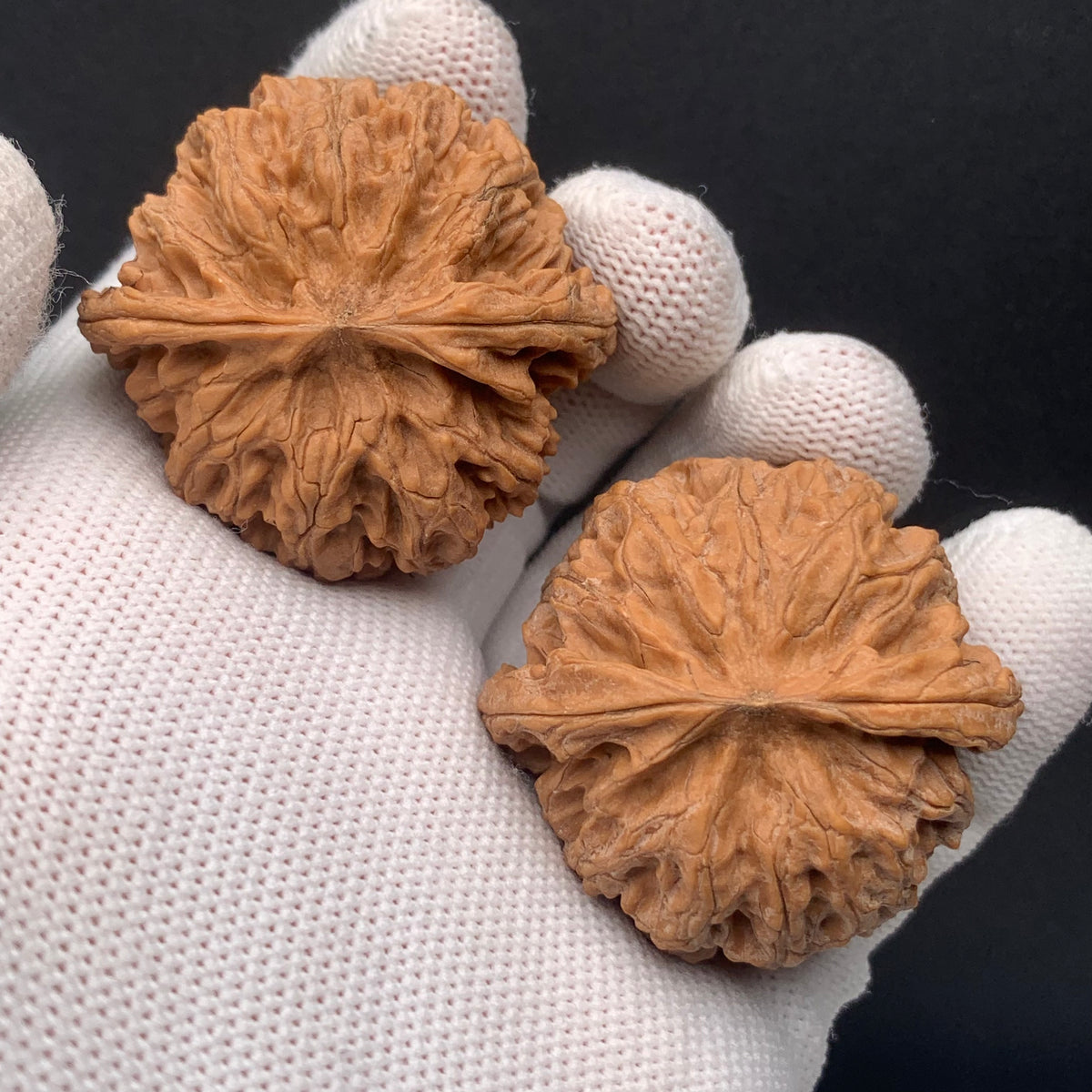 Apple Orchard Walnuts | Width40*Belly38*Height31 | No. 0260627-06 | Premium
