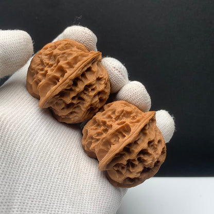 Apple Orchard Walnuts | Width41*Belly42*Height37 | No. 671501 | Premium