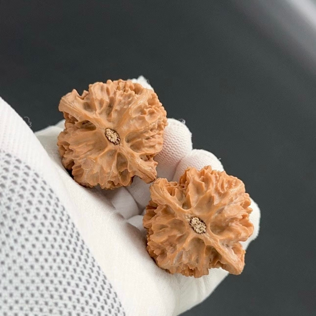Specical Price |Apple Orchard Wenwan Walnuts（Ragular Grade）