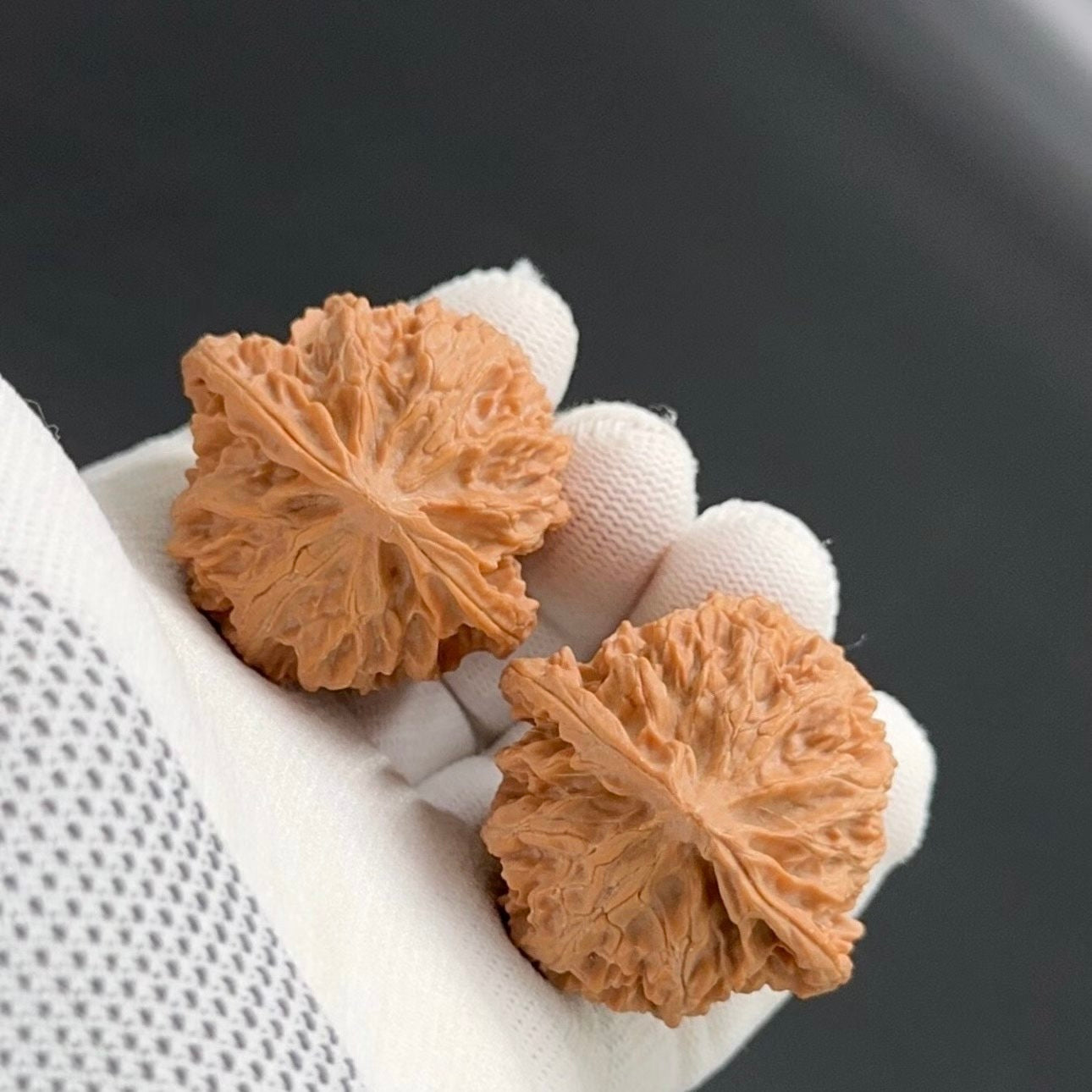 Specical Price |Apple Orchard Wenwan Walnuts（Ragular Grade）