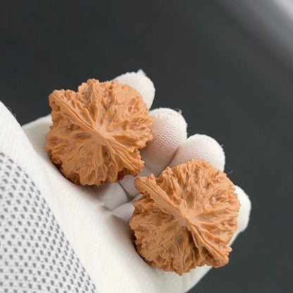 Specical Price |Apple Orchard Wenwan Walnuts（Ragular Grade）