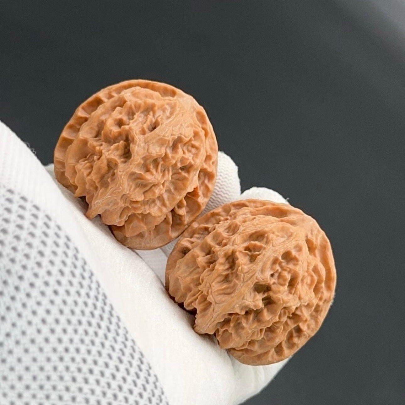 Specical Price |Apple Orchard Wenwan Walnuts（Ragular Grade）