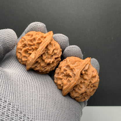 Apple Orchard Wenwan Walnuts | Width43*Belly40*Height42| NO.6101030 | Premium
