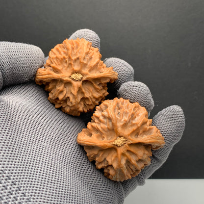 Apple Orchard Wenwan Walnuts | Width43*Belly40*Height42| NO.6101030 | Premium