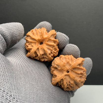 Apple Orchard Wenwan Walnuts | Width41*Belly39*Height39 | NO.6101104 | Premium