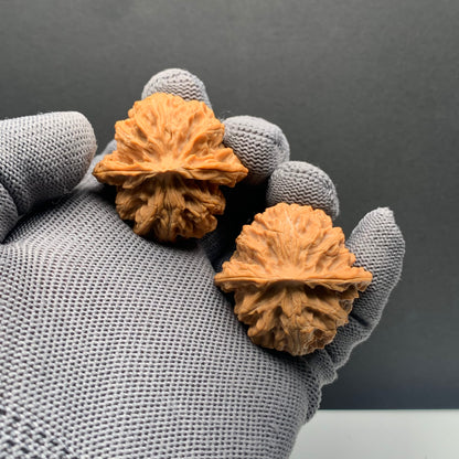 Apple‑Orchard Wenwan Walnuts | Width38*Belly36*Height35 | NO.69067 | Premium