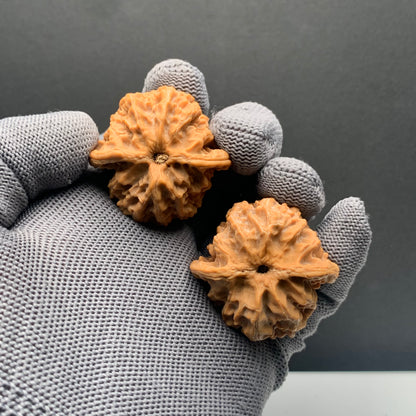 Apple‑Orchard Wenwan Walnuts | Width38*Belly36*Height35 | NO.69067 | Premium