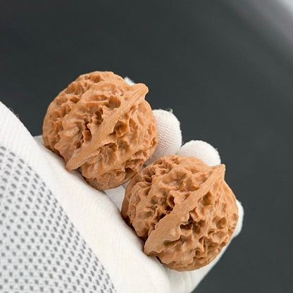 Specical Price |Apple Orchard Wenwan Walnuts（Ragular Grade）