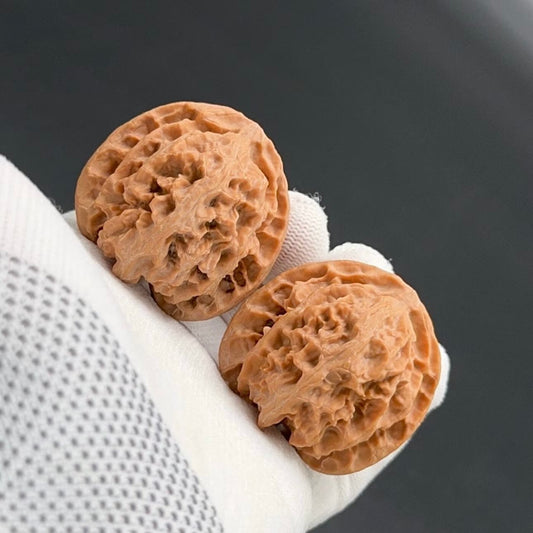 Specical Price |Apple Orchard Wenwan Walnuts（Ragular Grade）