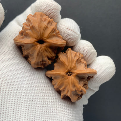 Big Ear Tutu Walnuts | Width35*Belly35*Height30 | No. 6710072 | Premium