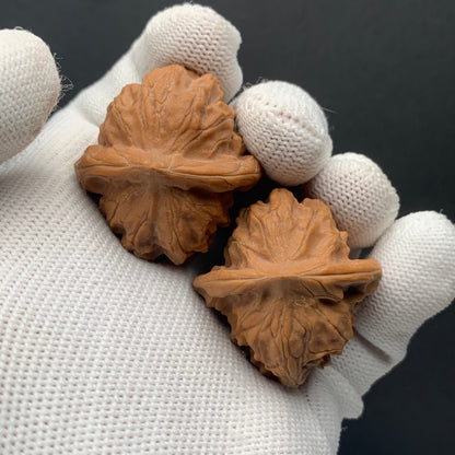 Big Ear Tutu Walnuts | Width35*Belly35*Height30 | No. 6710072 | Premium