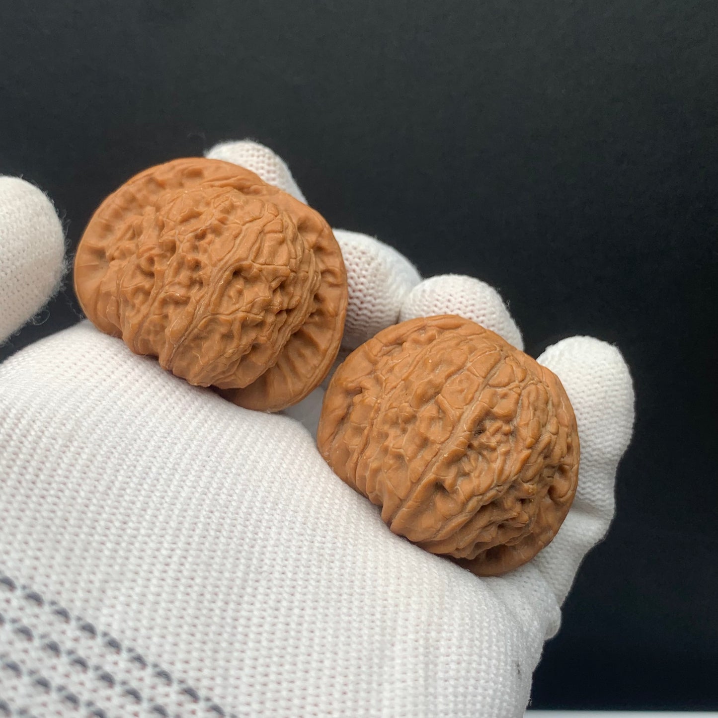 Blunt Tip White Lion Walnuts | Width38*Belly34*Height30 | No. 0260626-06 | Premium