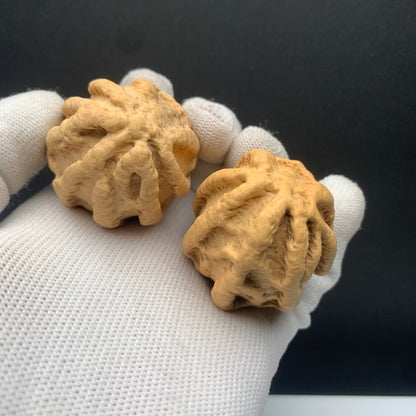 Wild Qiankun Ghost‑Face Walnuts|width*Belly*height| No. B001｜Premium