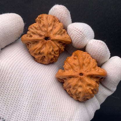 Changmen Walnuts | Width35*Belly36*Height32 | No. 0260628-03 | Premium
