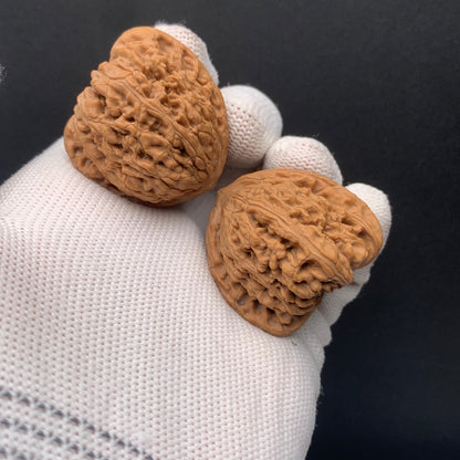 Chengde Dense Grain Walnuts | Width35*Belly33*Height33 | 0260714-2 | Premium
