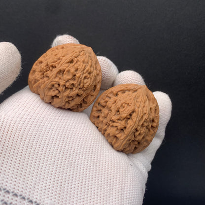 Chengde Dense Grain Walnuts | Width35*Belly33*Height33 | 0260714-2 | Premium